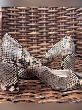 ZARA Snakeskin Block Heel Pointed Toe. Size 7